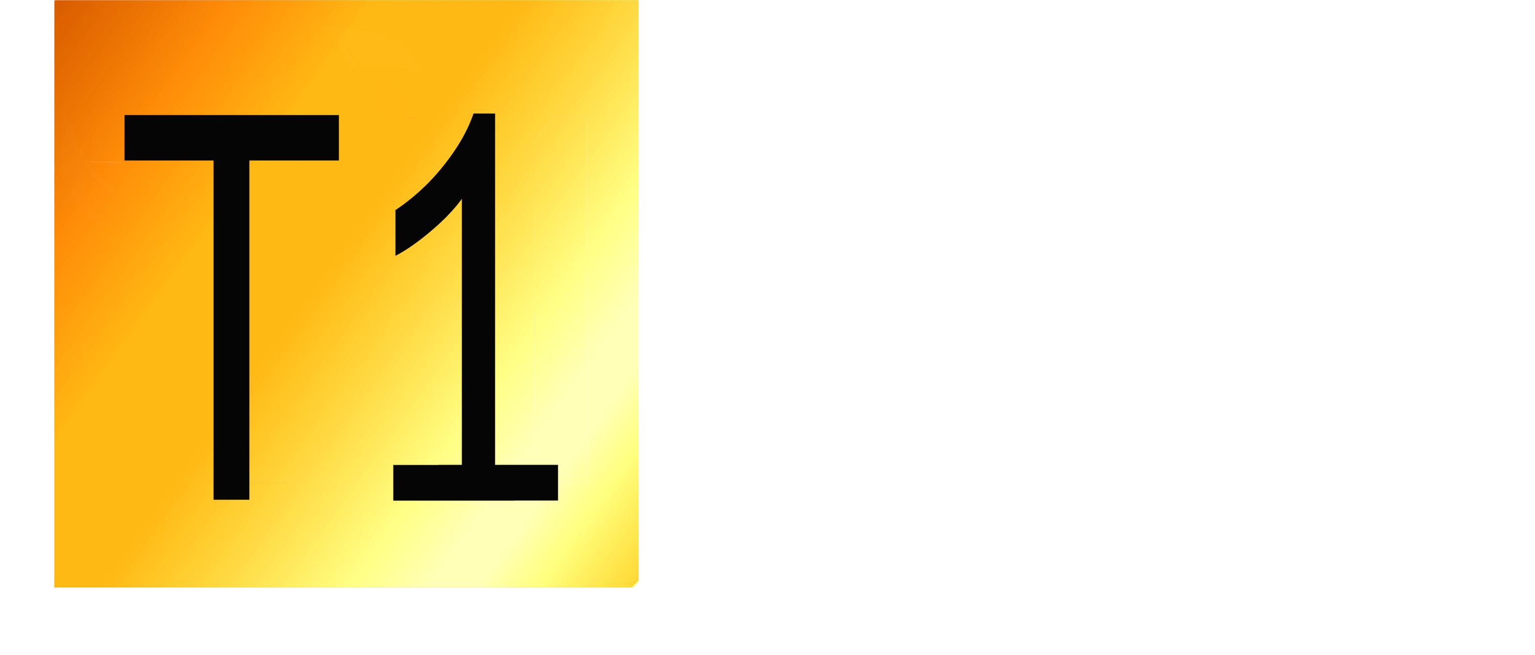 Corporate Form Tier 1 Performance Coaching